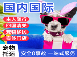 河东机场物流国际宠物托运 【国